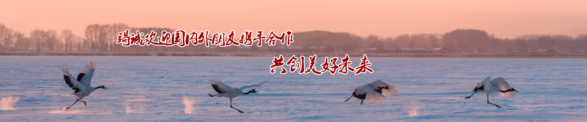 关于金年会app下载官网苹果版